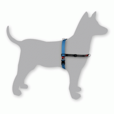 Black Dog Harness XSmall | Positive Dog Products | Adelaide