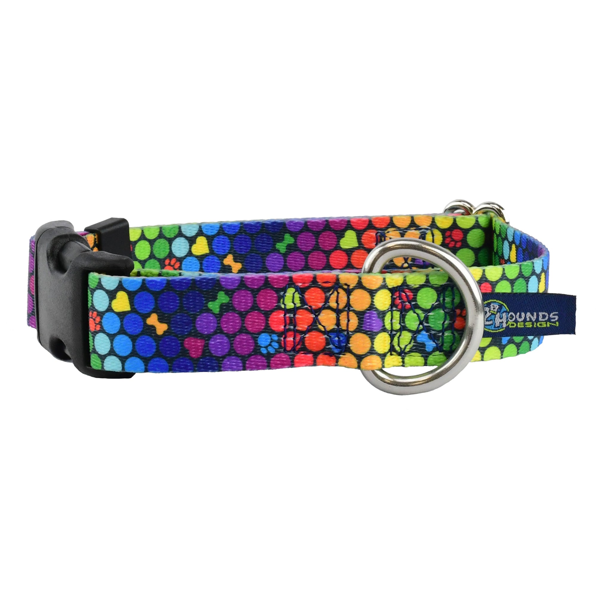 Keystone Leash 25mm (1") x 1.8m (6')Single Clip Earthstyle Roy G Biv