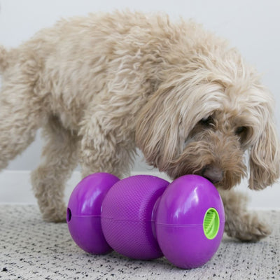 KONG Replay Large - Positive Dog Products