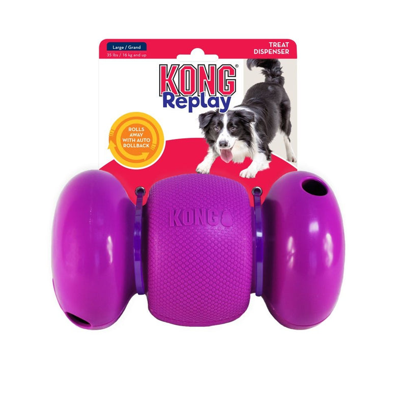 KONG Replay Small - Positive Dog Products