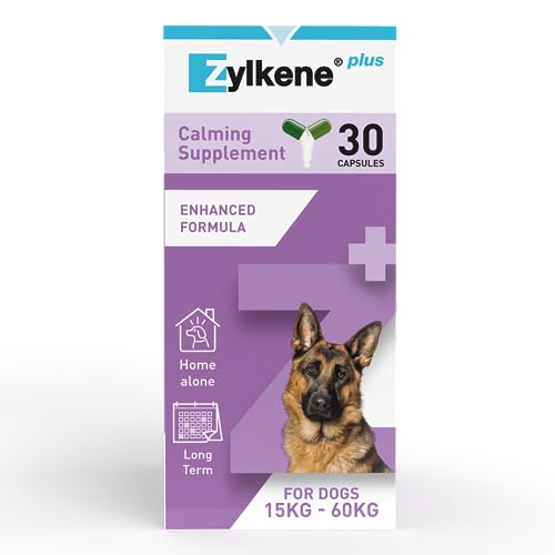 Zylkene Plus Large