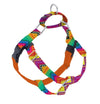 Freedom No Pull Earthstyle Harness - BFF (Best Friends Forever) Large