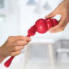 KONG Treat Dispensing Brush