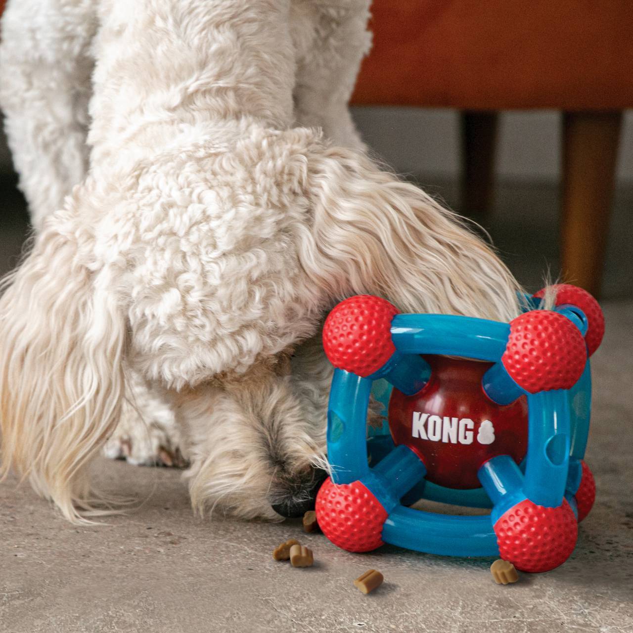 KONG Rewards Tinker Treat Dispenser Dog Toy