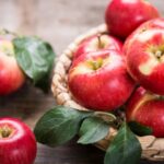 Lamb & Salmon Ancestral Mix Training Treats - 80g