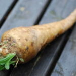 Lamb & Salmon Ancestral Mix Training Treats - 80g