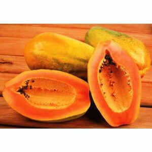 Lamb & Salmon Ancestral Mix Training Treats - 80g