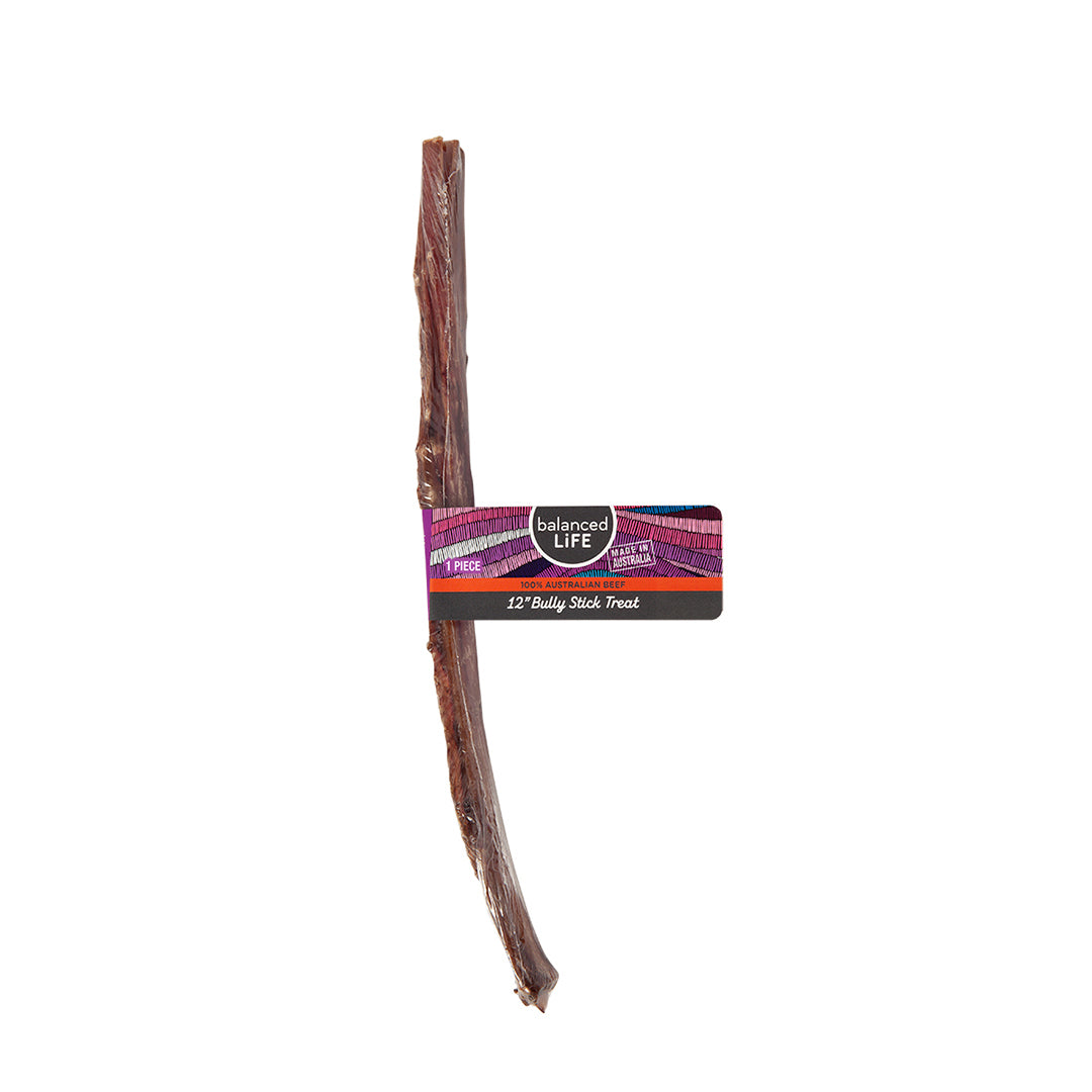 12"  Mini Bull Chew
