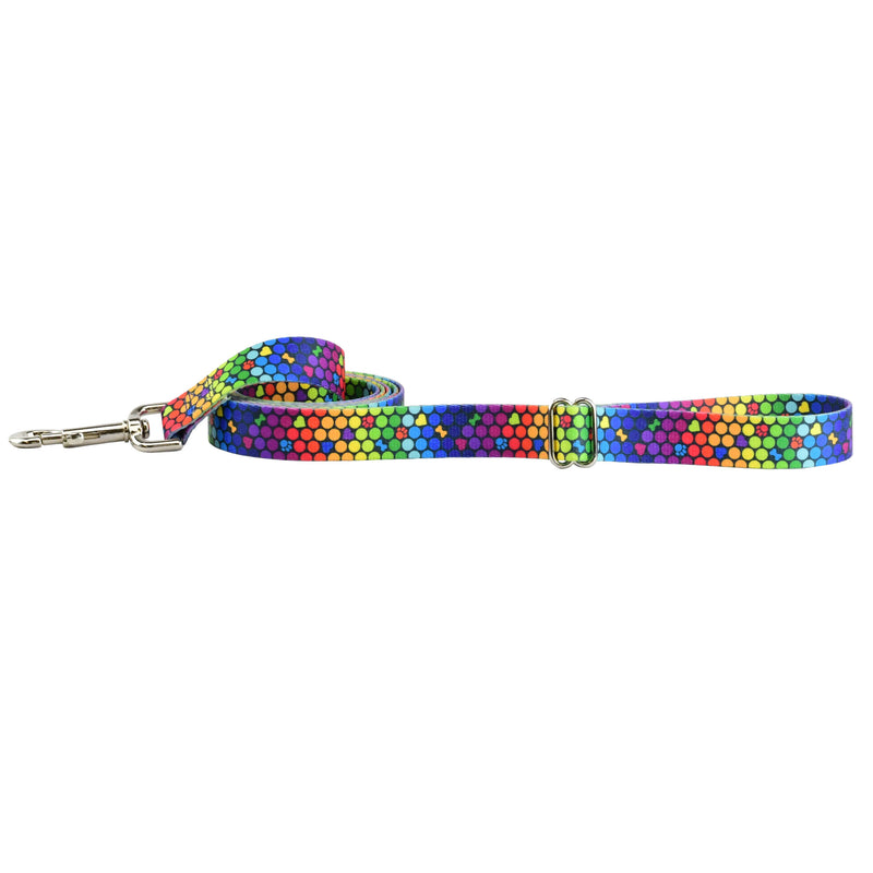 Keystone Leash 15mm (5/8") x 1.8m (6')Single Clip Earthstyle Roy G Biv