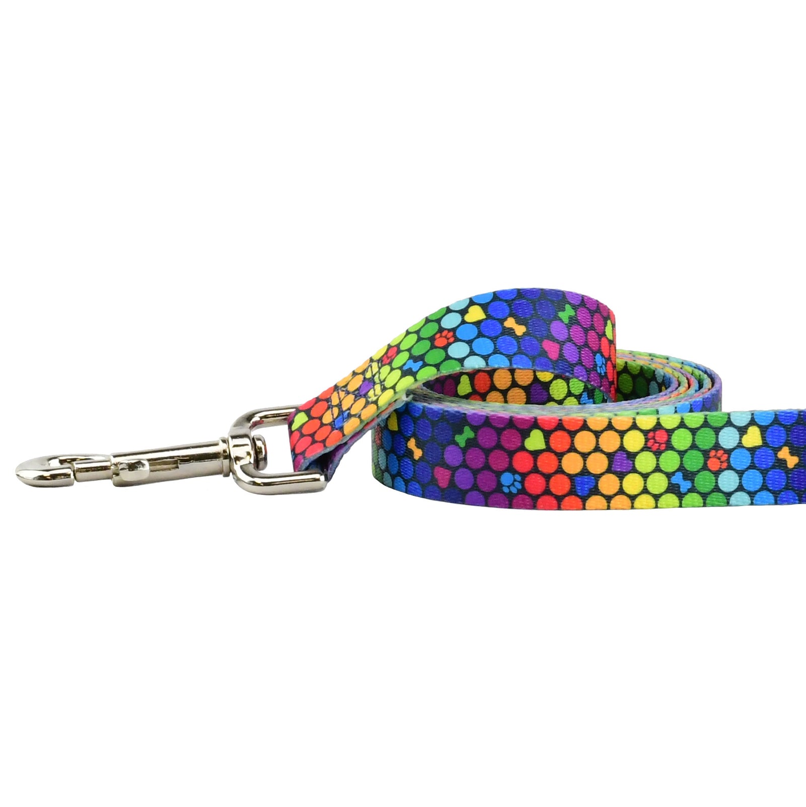 Keystone Leash 25mm (1") x 1.8m (6')Single Clip Earthstyle Roy G Biv