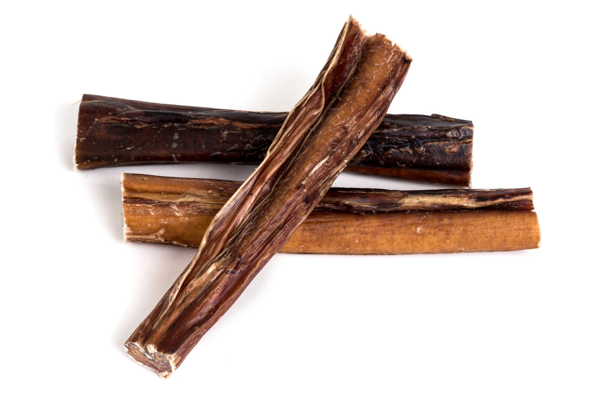 Bull Chews - Large - Positive Dog Products