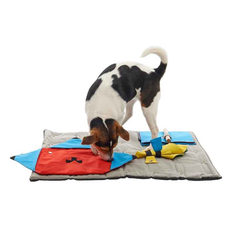 Buster Canvas Activity Snuffle Mat Starter Kit Interactive Dog | Positive Dog Products | Adelaide