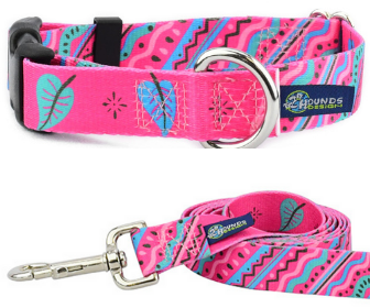 Earthstyle 1980's Collar & Lead Pack