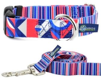 Earthstyle Rocky Lead & Collar Pack