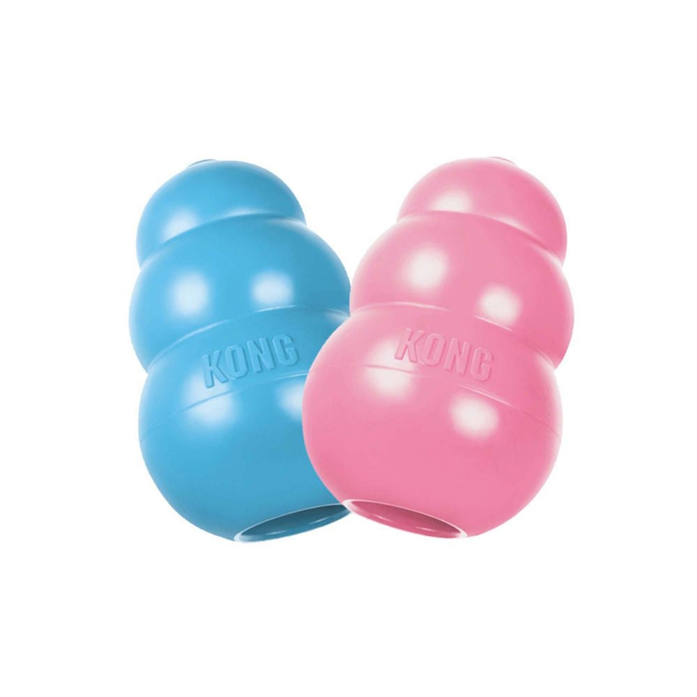 KONG Puppy - Large - Positive Dog Products