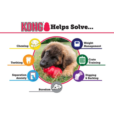 KONG Puppy - Medium - Positive Dog Products