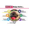 KONG Classic XLarge - Positive Dog Products