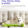 Charming Pets Longidudes  Extra Long 75mm plush Squeaker Dog Toy Dino