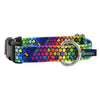 Collar Earthstyle Keystone Roy G Biv