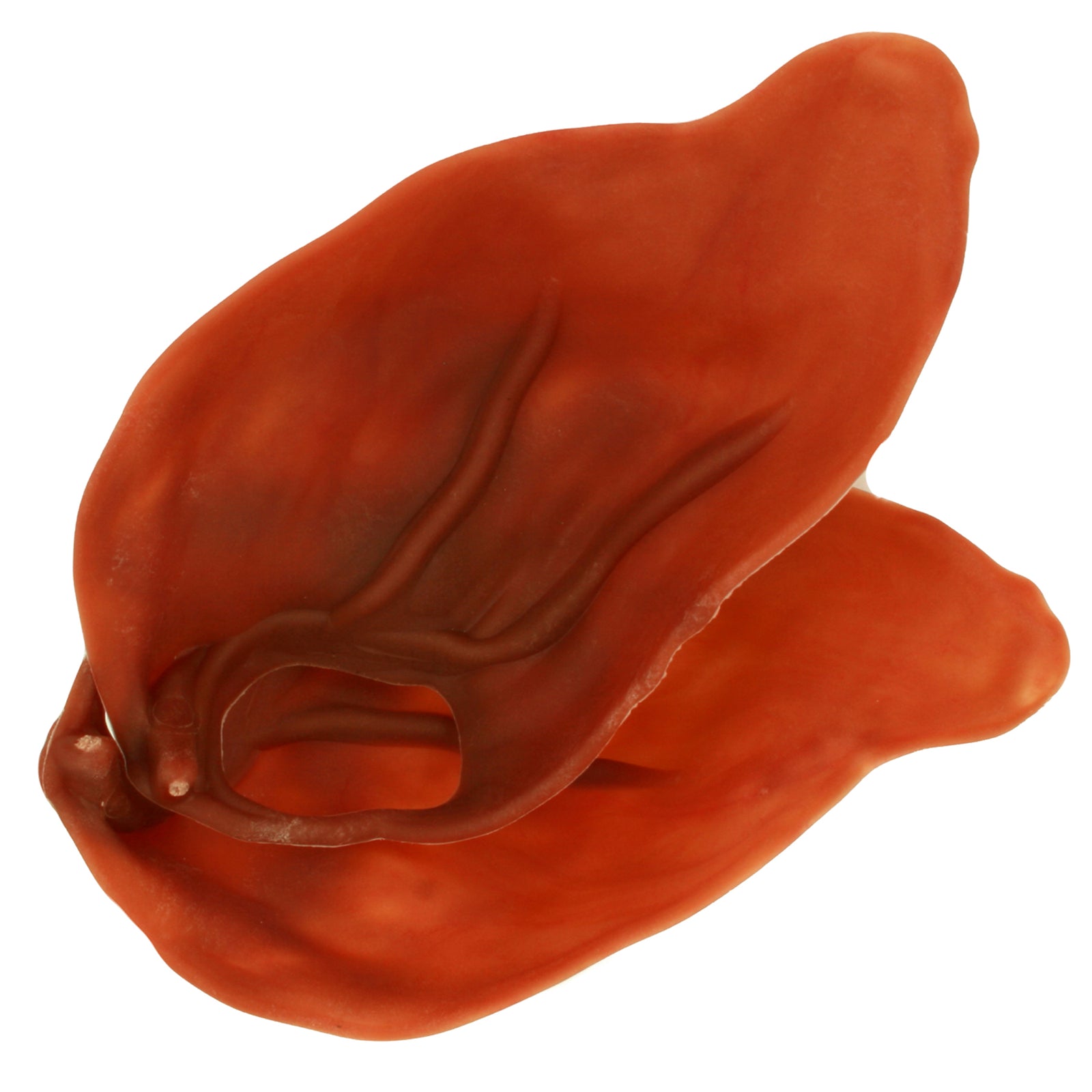 Veggie Ears | Positive Dog Products | Adelaide