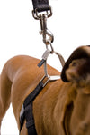 Freedom No Pull Harness Large 1" - Positive Dog Products