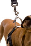 Freedom No Pull Harness XLarge 1" - Positive Dog Products