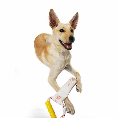 Tugathong Large - Positive Dog Products