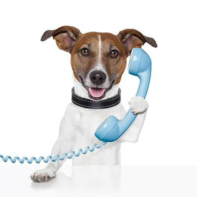 Phone Advice - Positive Dog Products